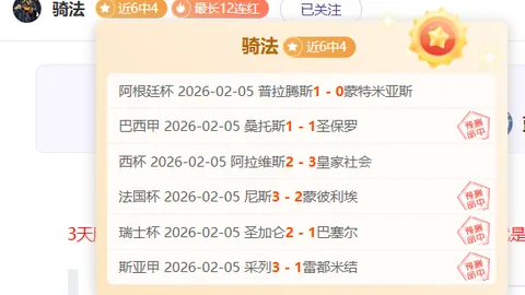 巴西球星米内罗正式加盟上海申花队
